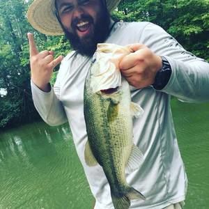 Meet your Posher, Tommy